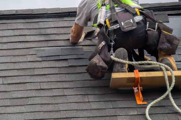 Best Local Roofing Companies  in Wapakoneta, OH