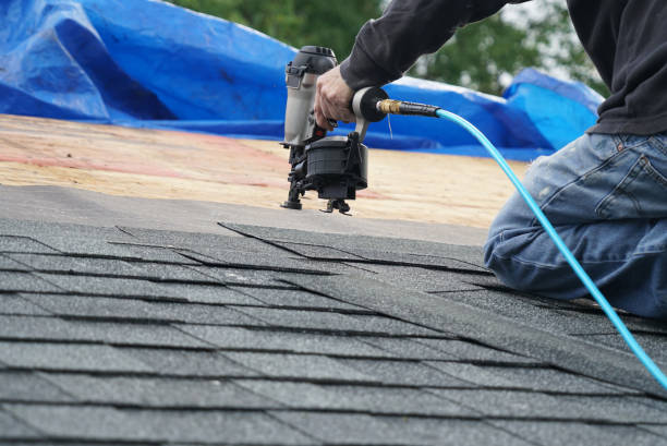 Best Shingle Roofing Installation  in Wapakoneta, OH