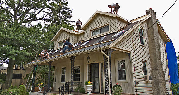 Best Residential Roofing Contractor  in Wapakoneta, OH
