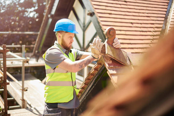 Best Roofing Contractor Near Me  in Wapakoneta, OH