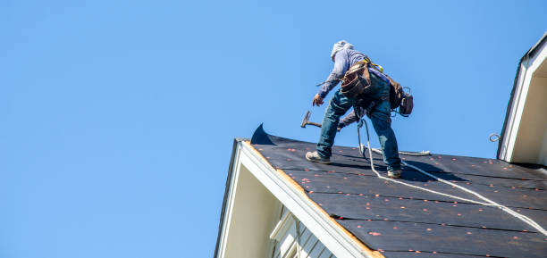 Best Roof Maintenance Services  in Wapakoneta, OH